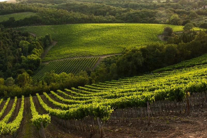 Oria cumple dos años — comunidad de propietarios en Val d'Orcia