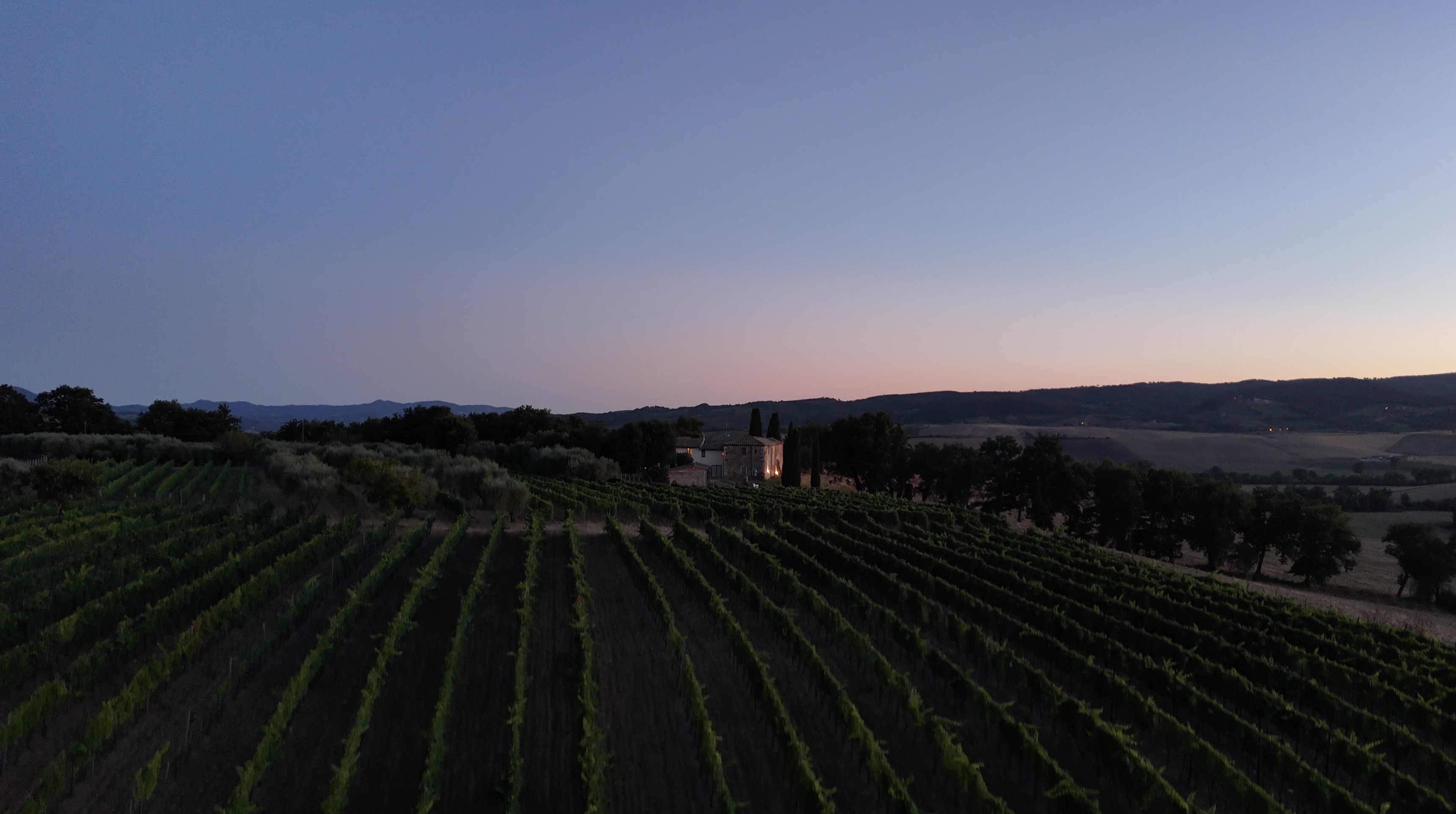 Val d'Orcia — Viñedo de Oria al anochecer, Toscana UNESCO