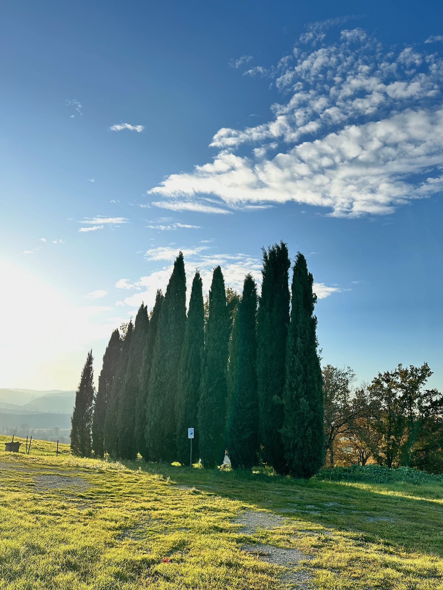 Cipreses de Val d'Orcia al amanecer, junto al monasterio de Oria