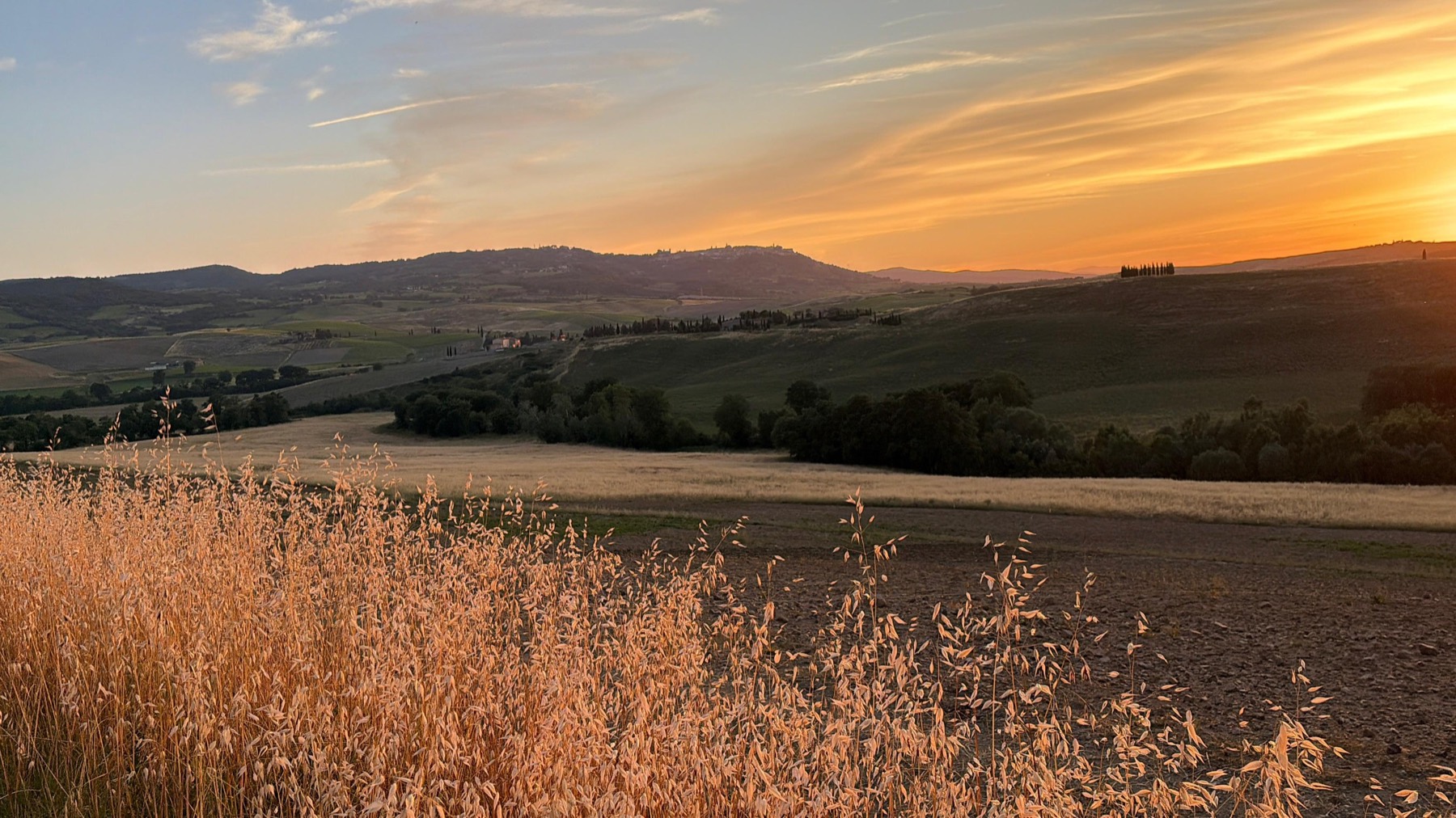 Val d'Orcia al atardecer — colinas, trigales y cipreses en el horizonte