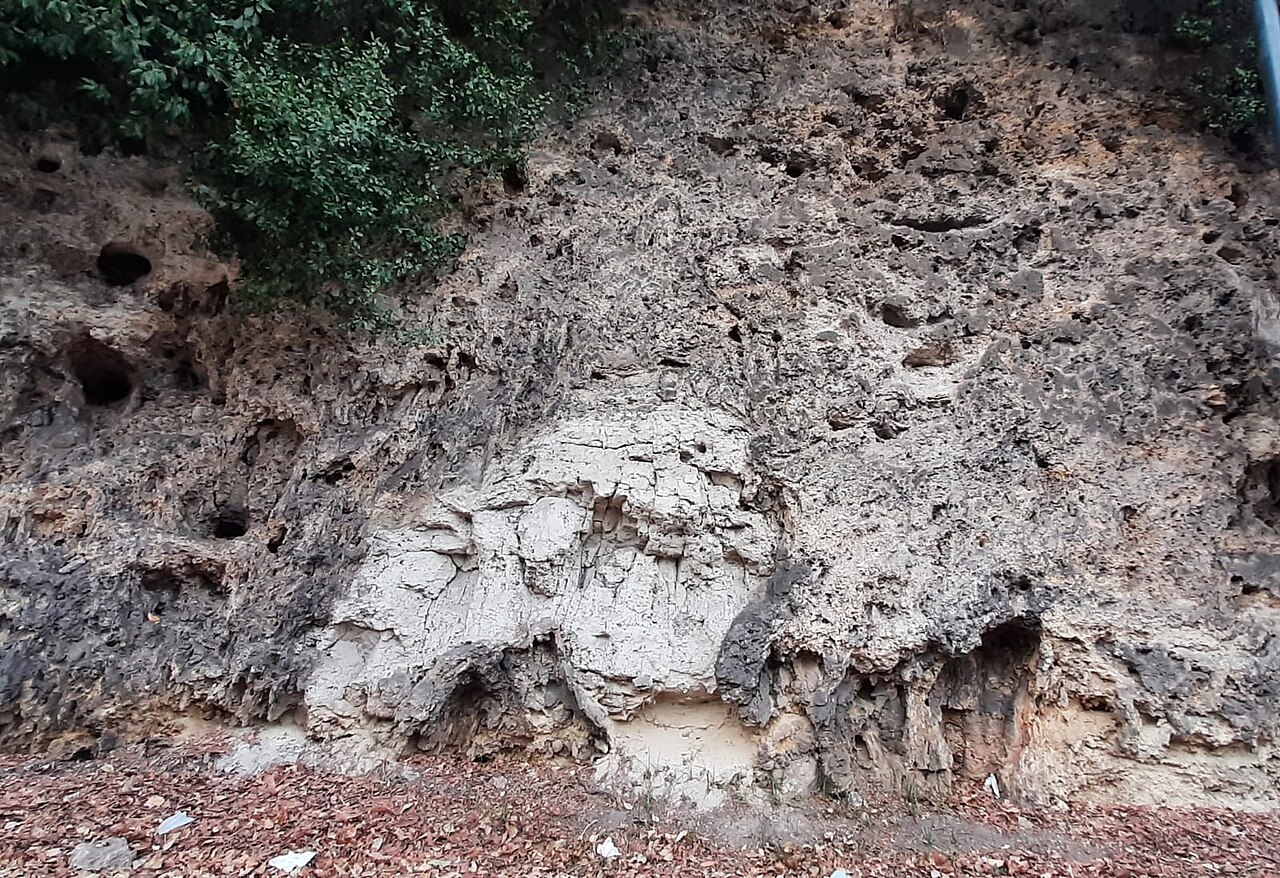 Afloramiento natural de travertino con su porosidad característica