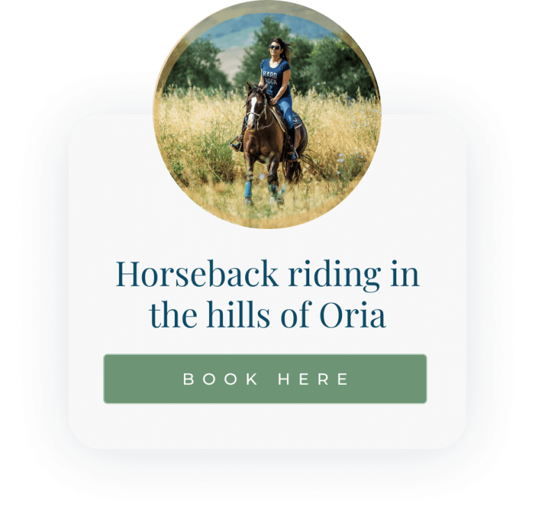 Horseback riding in the hills of Oria